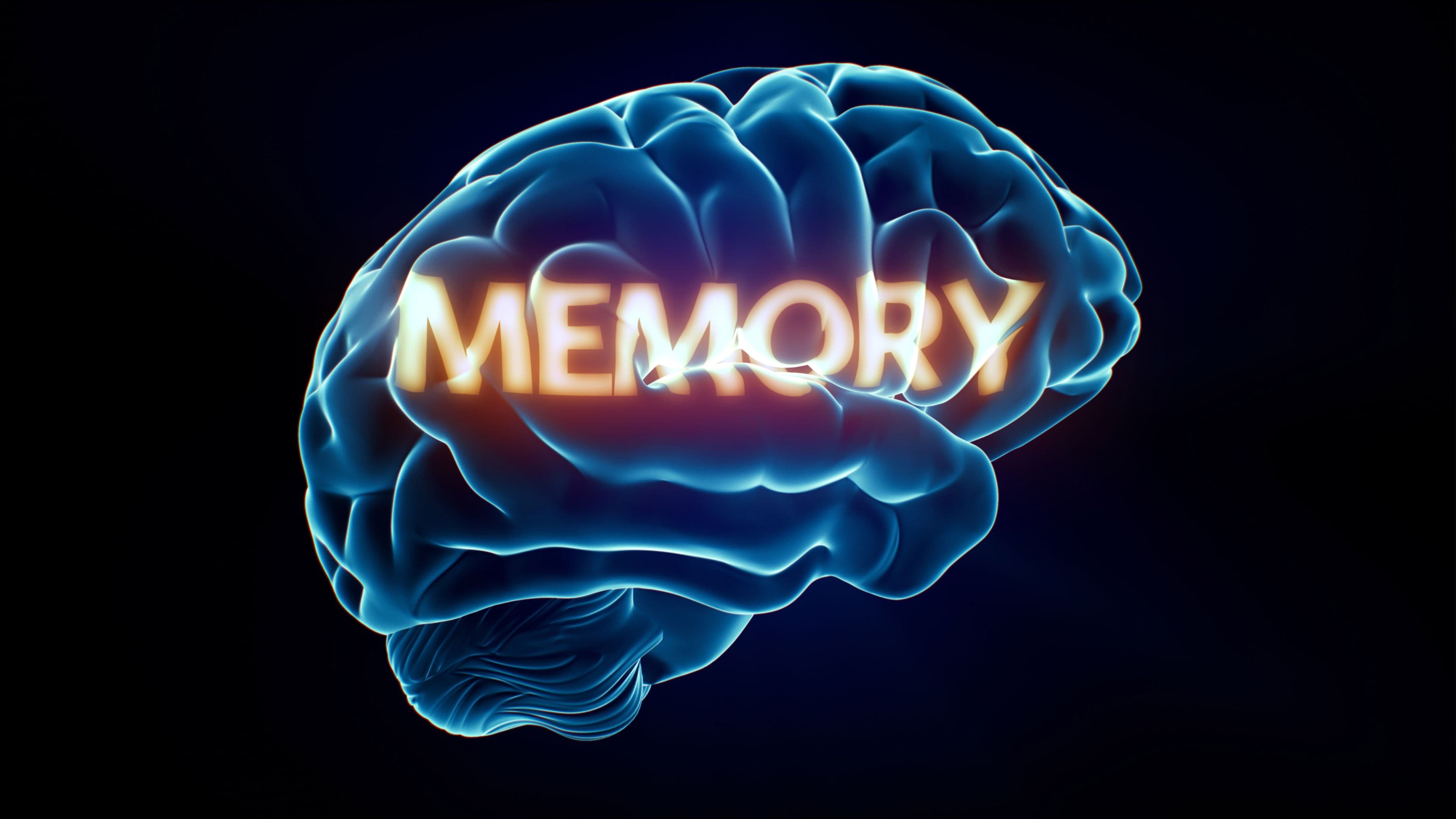 What Is AI Memory and Why Does It Change How Models Feel to Use?