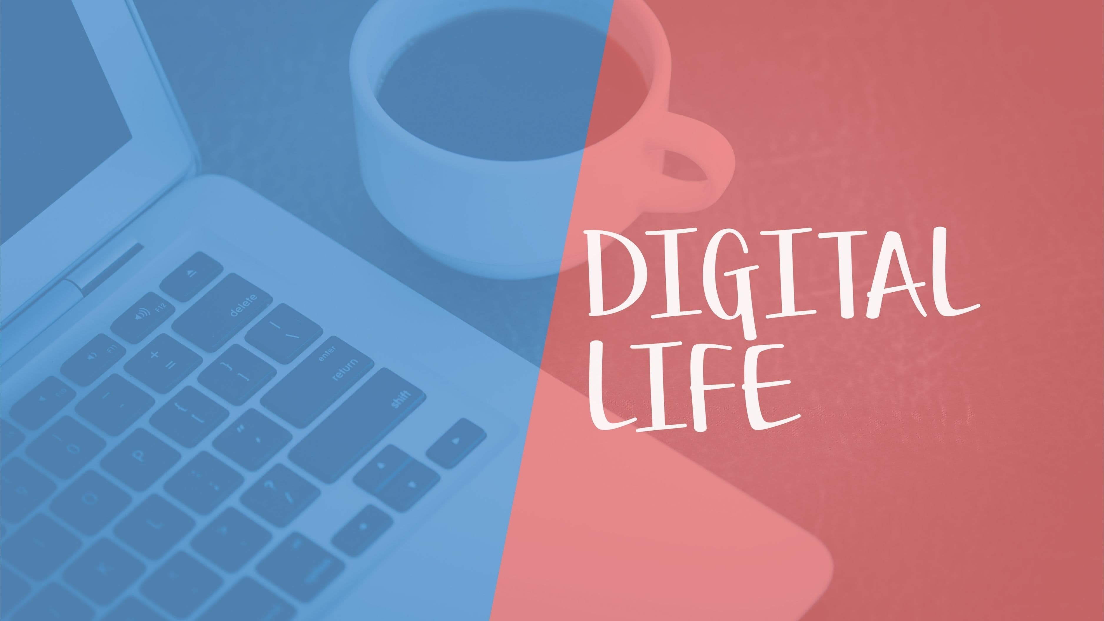 How to Back Up Your Entire Digital Life in an Afternoon