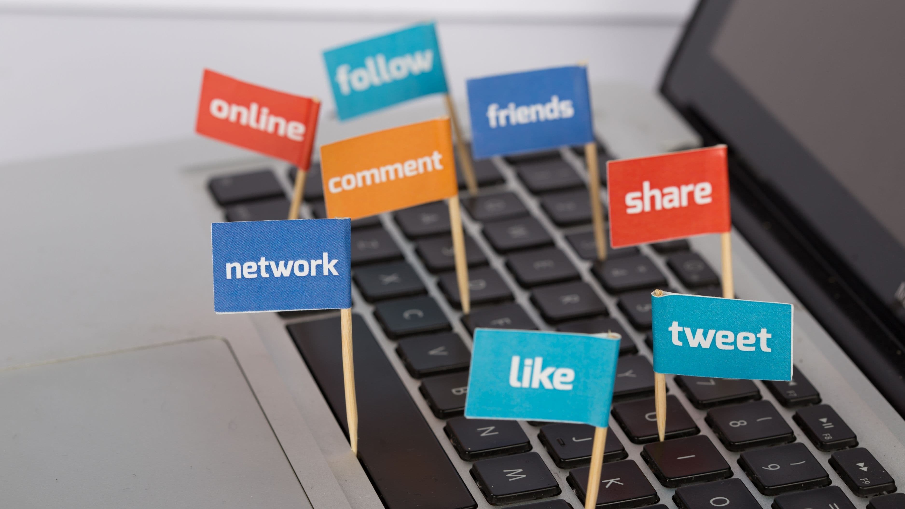What Is the Chronological Feed and Why Are Users Demanding It Back?