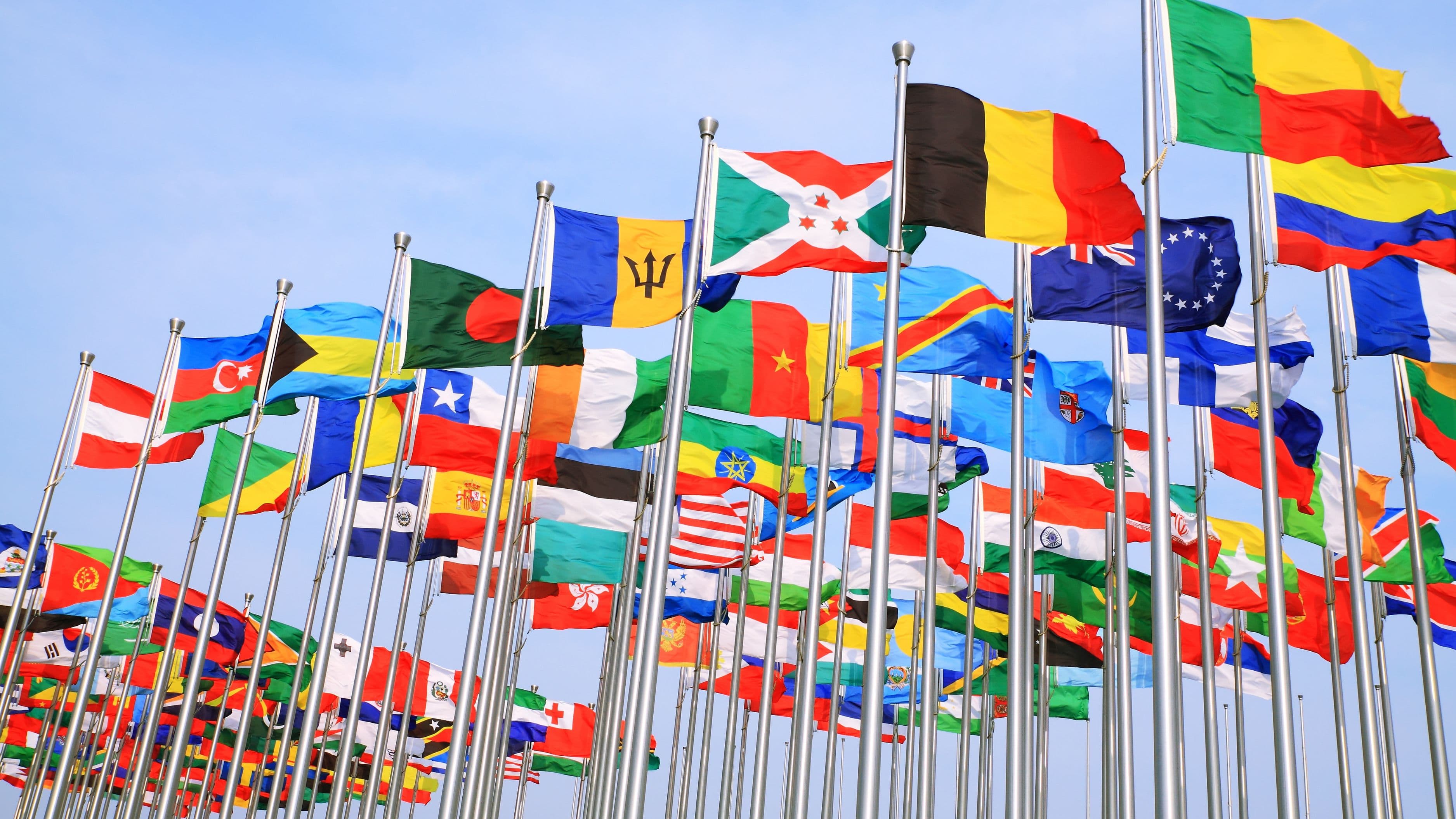 What Is the Digital Divide and Why Does It Still Exist in Rich Countries?