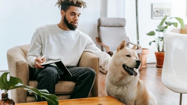 Ready to Create the Perfect Home Setup for You and Your Pets?